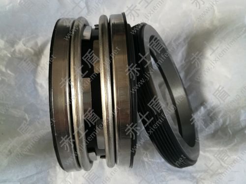 210機(jī)械密封 210機(jī)械密封2.jpg