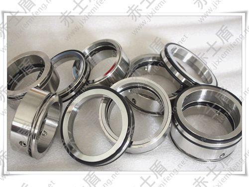 AES機(jī)械密封 AES機(jī)械密封